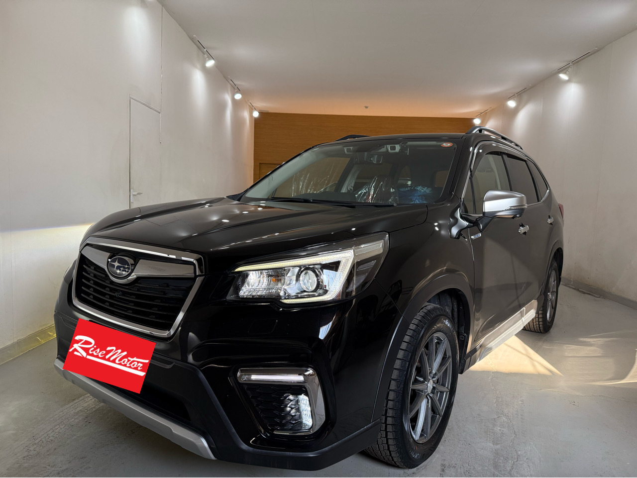 １１月２０日　木曜日